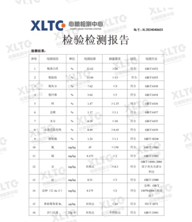 心粮肉骨头红袋子