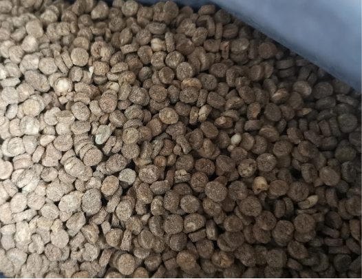 喵彩猫粮怎么样？