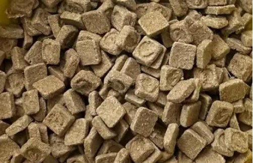 金故鸭肉烘焙猫粮怎么样？