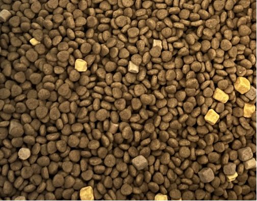 好主人狗粮测评