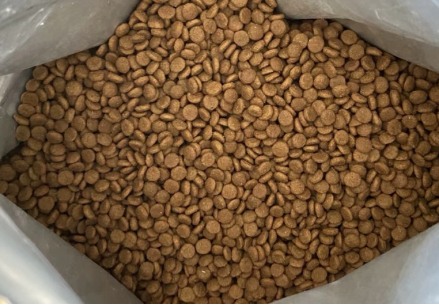 久生猫粮好不好？