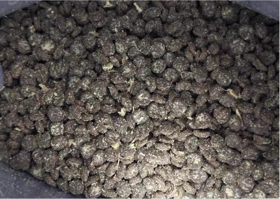 聪颖猫粮好不好