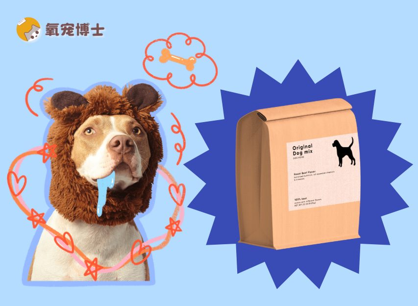 狗狗胰腺炎为什么要吃处方粮？