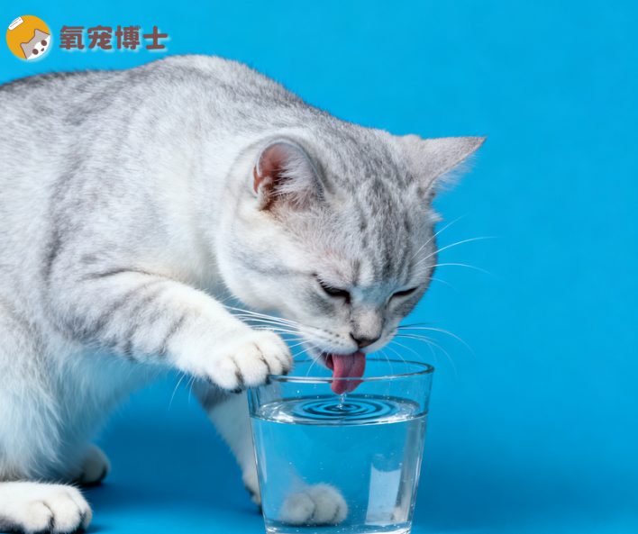 被猫咪舔过的水还能喝吗？