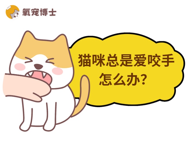 猫咪总是爱咬人的手怎么办？