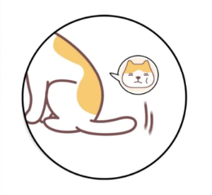 猫咪摇尾巴是意思