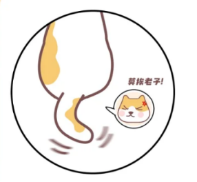 猫咪摇尾巴是要咬人吗？