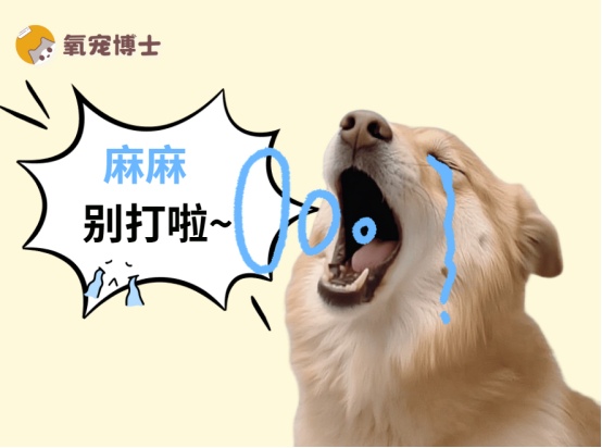 狗狗犯错能打吗？