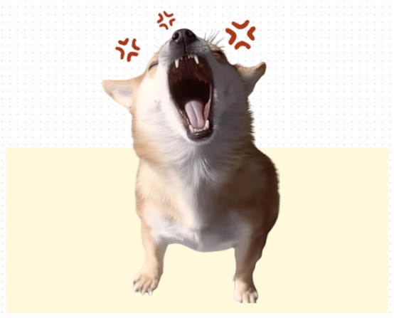 狗狗挨打会记仇吗？