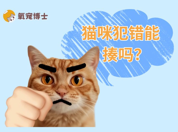 猫咪犯错可以打吗
