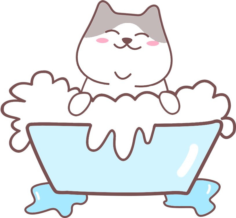 新手养猫注意事项