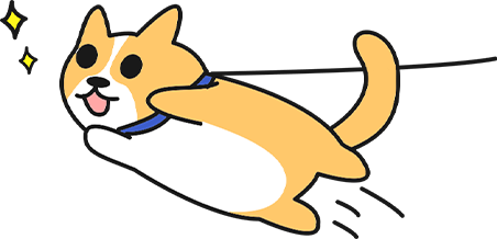 狗狗突然疯狂地跑来跑去