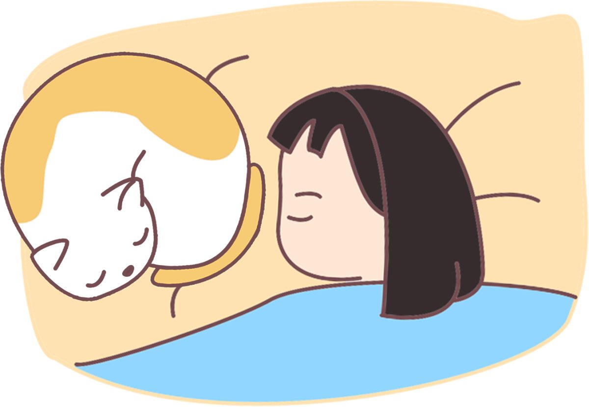 怎么判断猫咪的心情？