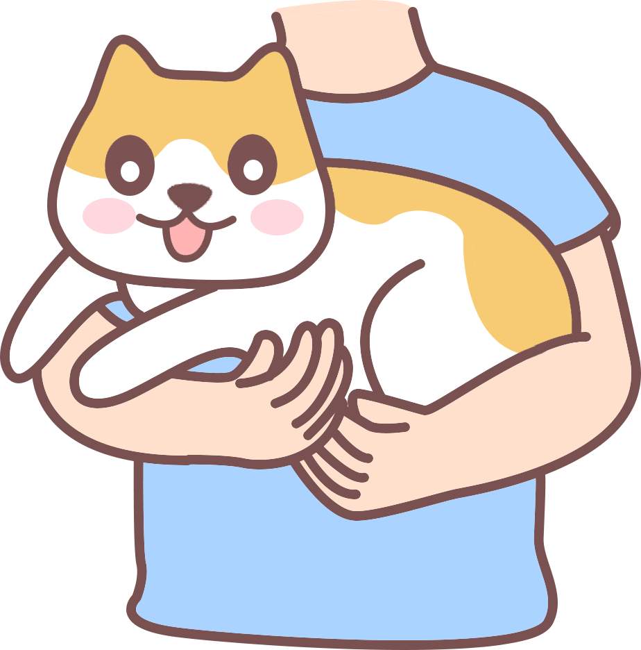 猫咪应激的表现