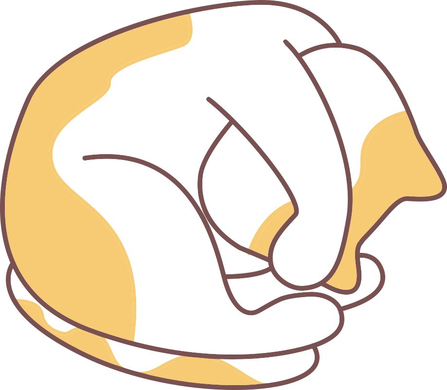 猫咪心情不好怎么办？