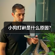 小狗打鼾是什么原因？（图1）