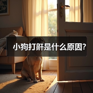 小狗打鼾是什么原因？（图3）