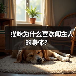 猫咪为什么喜欢闻主人的身体？（图3）