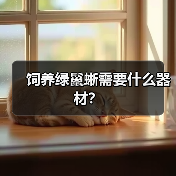 饲养绿鬣蜥需要什么器材？（图1）