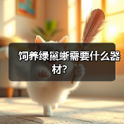 饲养绿鬣蜥需要什么器材？（图2）
