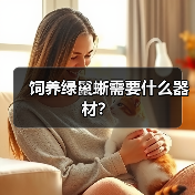 饲养绿鬣蜥需要什么器材？（图4）
