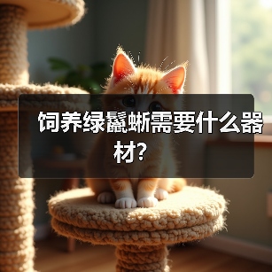 饲养绿鬣蜥需要什么器材？（图3）