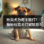 杜宾犬为何不能打?(揭秘杜宾犬打架禁忌与危害)(图4) 杜宾犬为何不能打?(揭秘杜宾犬打架禁忌与危害)(图4)