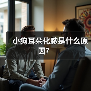 小狗耳朵化脓是什么原因？（图2）
