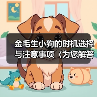 金毛生小狗的时机选择与注意事项(为您解答金毛生小狗的最佳时间及相关知识)(图4) 金毛生小狗的时机选择与注意事项(为您解答金毛生小狗的最佳时间及相关知识)(图4)