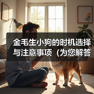 金毛生小狗的时机选择与注意事项(为您解答金毛生小狗的最佳时间及相关知识)(图1) 金毛生小狗的时机选择与注意事项(为您解答金毛生小狗的最佳时间及相关知识)(图1)
