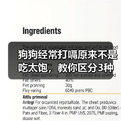 狗狗经常打嗝原来不是吃太饱,教你区分3种病理原因(图4) 狗狗经常打嗝原来不是吃太饱,教你区分3种病理原因(图4)
