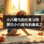 小八哥鸟的饮食习性（探究小八哥鸟的美食之旅）