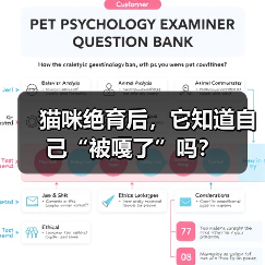 猫咪绝育后,它知道自己“被嘎了”吗? 猫咪绝育后,它知道自己“被嘎了”吗?