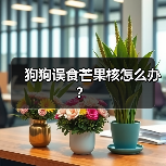 狗狗误食芒果核怎么办？