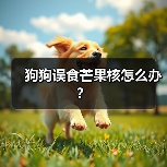 狗狗误食芒果核怎么办？