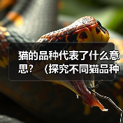 猫的品种代表了什么意思?(探究不同猫品种的象征意义) 猫的品种代表了什么意思?(探究不同猫品种的象征意义)