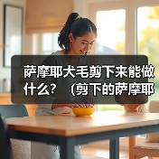 萨摩耶犬毛剪下来能做什么?(剪下的萨摩耶犬毛有哪些用途?) 萨摩耶犬毛剪下来能做什么?(剪下的萨摩耶犬毛有哪些用途?)
