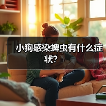 小狗感染蜱虫有什么症状？（图4）