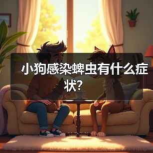 小狗感染蜱虫有什么症状？（图1）