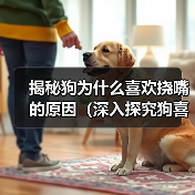 揭秘狗为什么喜欢挠嘴的原因(深入探究狗喜欢挠嘴的行为背后的奥秘)(图4) 揭秘狗为什么喜欢挠嘴的原因(深入探究狗喜欢挠嘴的行为背后的奥秘)(图4)
