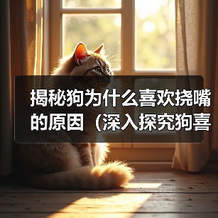 揭秘狗为什么喜欢挠嘴的原因(深入探究狗喜欢挠嘴的行为背后的奥秘)(图1) 揭秘狗为什么喜欢挠嘴的原因(深入探究狗喜欢挠嘴的行为背后的奥秘)(图1)