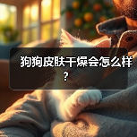 狗狗皮肤干燥会怎么样？（图2）
