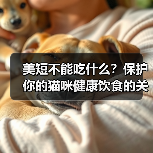 美短不能吃什么?保护你的猫咪健康饮食的关键(了解美短禁食食物,让你的猫咪远离食物危机)(图1) 美短不能吃什么?保护你的猫咪健康饮食的关键(了解美短禁食食物,让你的猫咪远离食物危机)(图1)