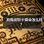 狗狗皮肤干燥会怎么样？（图1）