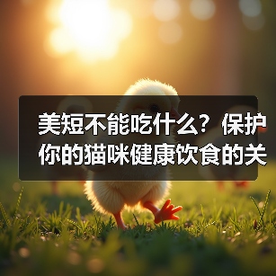 美短不能吃什么?保护你的猫咪健康饮食的关键(了解美短禁食食物,让你的猫咪远离食物危机)(图3) 美短不能吃什么?保护你的猫咪健康饮食的关键(了解美短禁食食物,让你的猫咪远离食物危机)(图3)