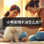 小狗发烧不退怎么办？（图3）