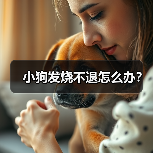 小狗发烧不退怎么办？（图2）