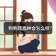 狗狗耳血肿会怎么样？（图1）
