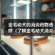 金毛幼犬的消炎药物选择（了解金毛幼犬消炎药的类型和用途）（图1）