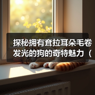 探秘拥有耷拉耳朵毛卷发光的狗的奇特魅力（迷人的卷发光，这个特征只属于某一种狗？）（图1）